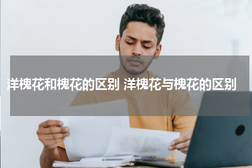 洋槐花和槐花的区别 洋槐花与槐花的区别