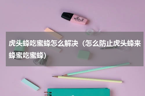 虎头蜂吃蜜蜂怎么解决（怎么防止虎头蜂来蜂蜜吃蜜蜂）