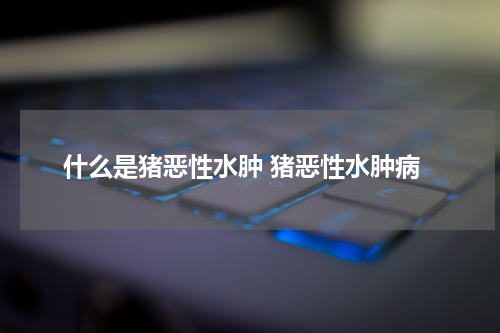 什么是猪恶性水肿 猪恶性水肿病