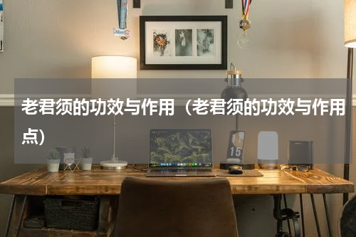 老君须的功效与作用（老君须的功效与作用点）
