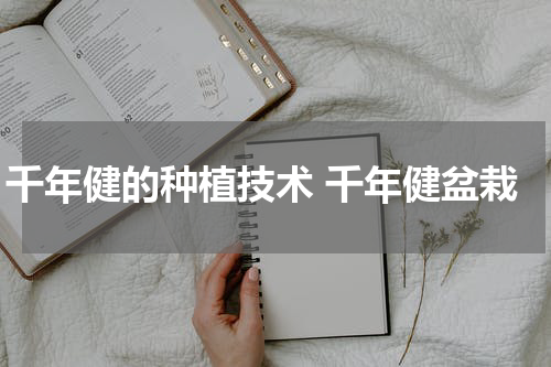千年健的种植技术 千年健盆栽