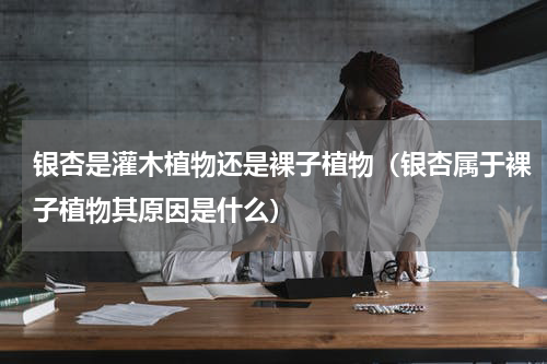 银杏是灌木植物还是裸子植物（银杏属于裸子植物其原因是什么）