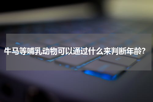 牛马等哺乳动物可以通过什么来判断年龄？