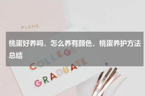 桃蛋好养吗，怎么养有颜色，桃蛋养护方法总结