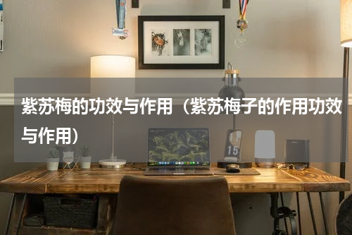 紫苏梅的功效与作用（紫苏梅子的作用功效与作用）