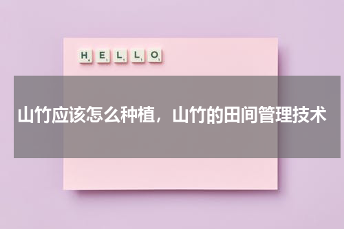 山竹应该怎么种植，山竹的田间管理技术