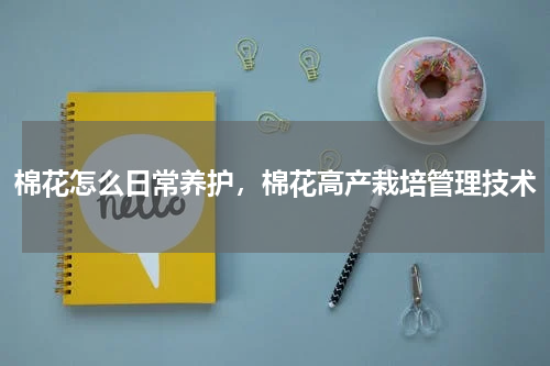 棉花怎么日常养护，棉花高产栽培管理技术