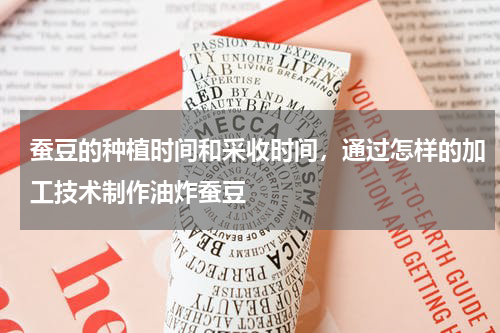 蚕豆的种植时间和采收时间，通过怎样的加工技术制作油炸蚕豆
