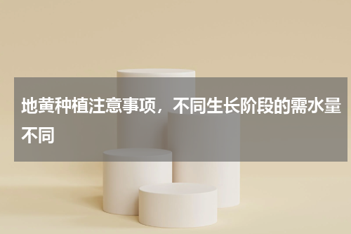 地黄种植注意事项，不同生长阶段的需水量不同