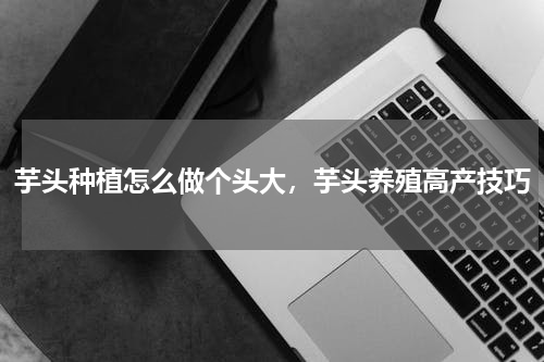 芋头种植怎么做个头大，芋头养殖高产技巧