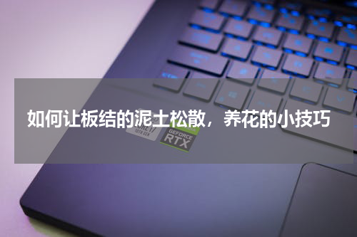如何让板结的泥土松散，养花的小技巧