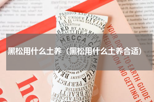 黑松用什么土养（黑松用什么土养合适）