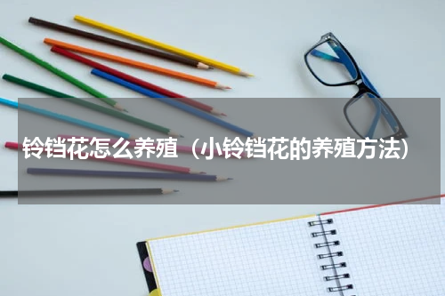 铃铛花怎么养殖（小铃铛花的养殖方法）