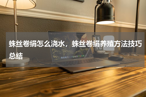 蛛丝卷绢怎么浇水，蛛丝卷绢养殖方法技巧总结