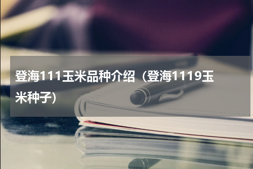 登海111玉米品种介绍（登海1119玉米种子）