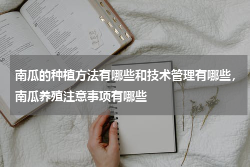 南瓜的种植方法有哪些和技术管理有哪些，南瓜养殖注意事项有哪些