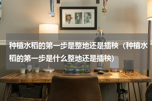 种植水稻的第一步是整地还是插秧（种植水稻的第一步是什么整地还是插秧）