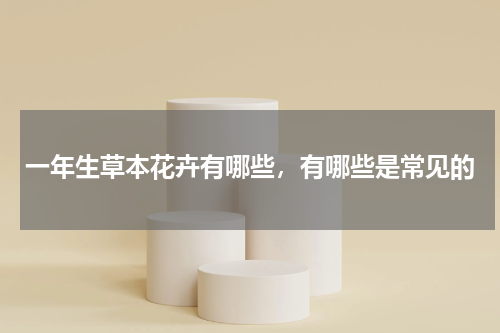 一年生草本花卉有哪些，有哪些是常见的