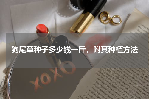 狗尾草种子多少钱一斤，附其种植方法