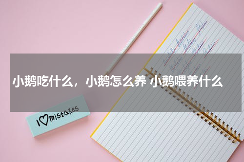 小鹅吃什么，小鹅怎么养 小鹅喂养什么