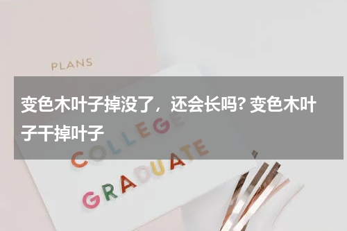 变色木叶子掉没了，还会长吗? 变色木叶子干掉叶子