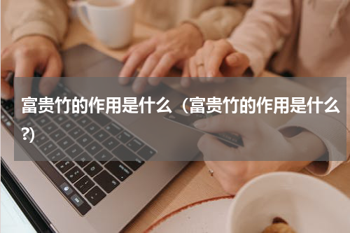 富贵竹的作用是什么（富贵竹的作用是什么?）