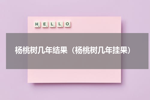 杨桃树几年结果（杨桃树几年挂果）