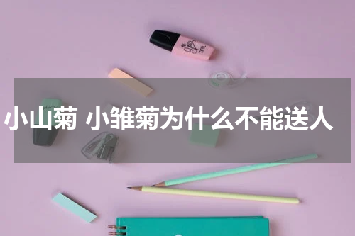 小山菊 小雏菊为什么不能送人