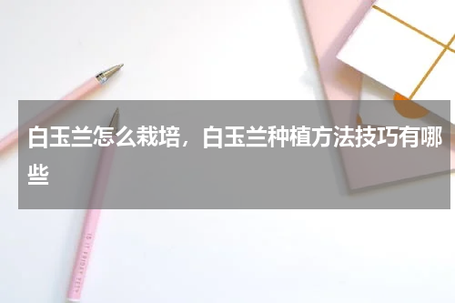白玉兰怎么栽培，白玉兰种植方法技巧有哪些