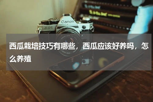 西瓜栽培技巧有哪些，西瓜应该好养吗，怎么养殖