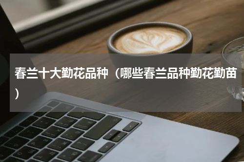 春兰十大勤花品种（哪些春兰品种勤花勤苗）