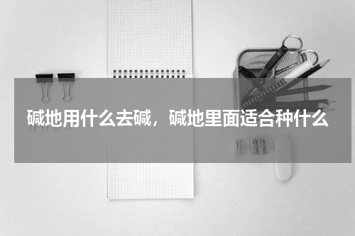 碱地用什么去碱，碱地里面适合种什么
