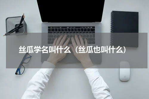 丝瓜学名叫什么（丝瓜也叫什么）