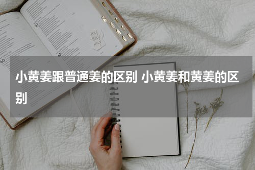 小黄姜跟普通姜的区别 小黄姜和黄姜的区别