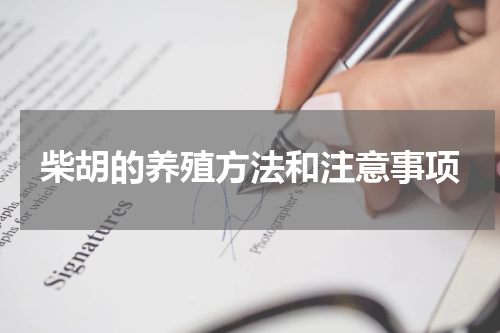 柴胡的养殖方法和注意事项