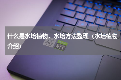 什么是水培植物，水培方法整理（水培植物介绍）