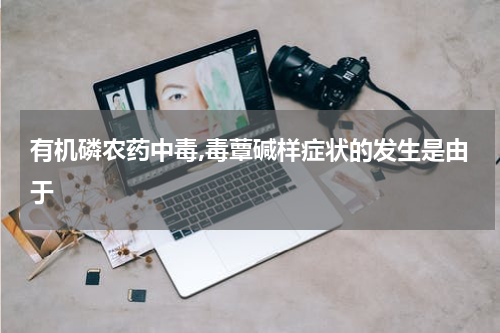 有机磷农药中毒,毒蕈碱样症状的发生是由于