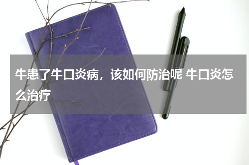 牛患了牛口炎病，该如何防治呢 牛口炎怎么治疗