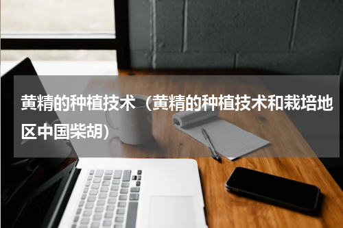 黄精的种植技术（黄精的种植技术和栽培地区中国柴胡）
