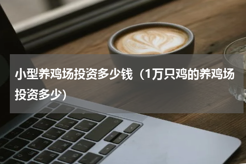 小型养鸡场投资多少钱（1万只鸡的养鸡场投资多少）