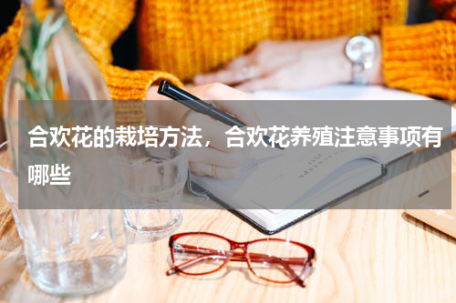 合欢花的栽培方法，合欢花养殖注意事项有哪些