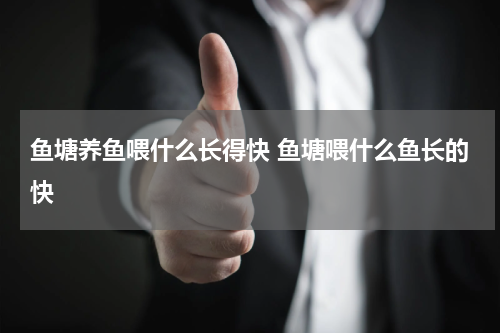 鱼塘养鱼喂什么长得快 鱼塘喂什么鱼长的快