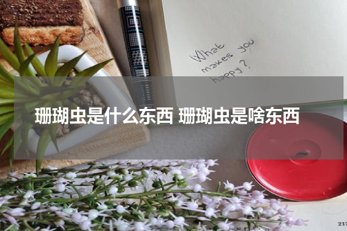 珊瑚虫是什么东西 珊瑚虫是啥东西