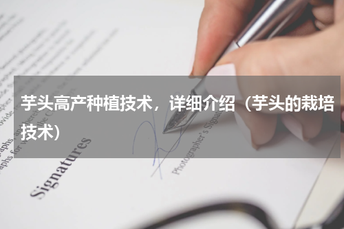 芋头高产种植技术，详细介绍（芋头的栽培技术）