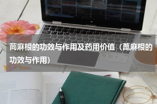 苘麻根的功效与作用及药用价值（蓖麻根的功效与作用）