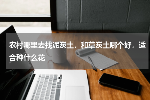 农村哪里去找泥炭土，和草炭土哪个好，适合种什么花