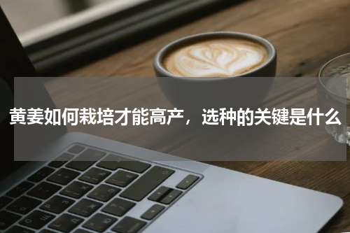 黄姜如何栽培才能高产，选种的关键是什么