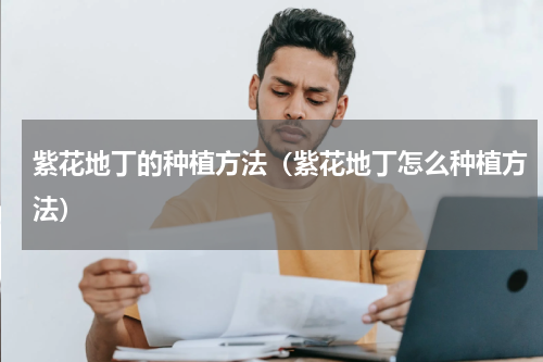 紫花地丁的种植方法（紫花地丁怎么种植方法）