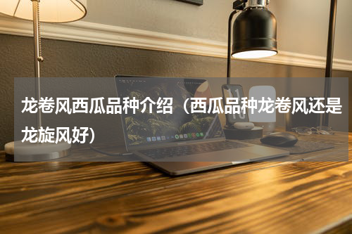 龙卷风西瓜品种介绍（西瓜品种龙卷风还是龙旋风好）