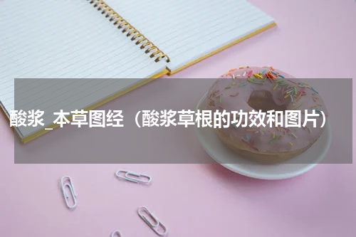 酸浆_本草图经（酸浆草根的功效和图片）